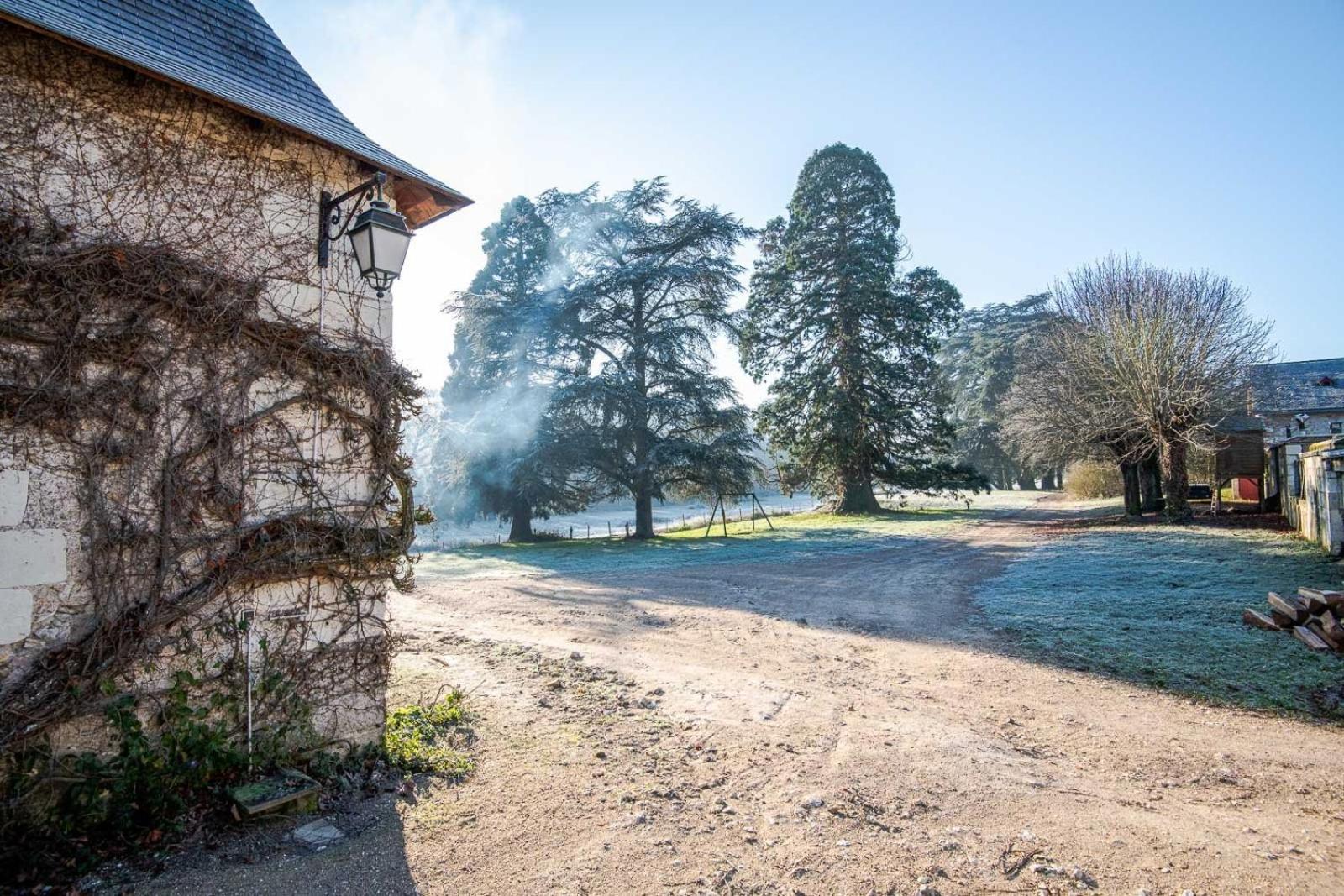 16Th Century Hunting Lodge - Chateau De Nitray Athee-sur-Cher Ngoại thất bức ảnh